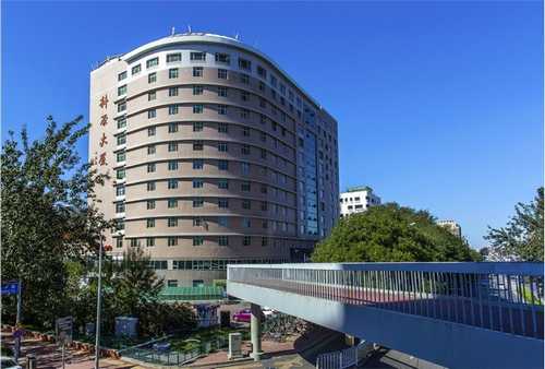 寧波卡通IP設計推薦